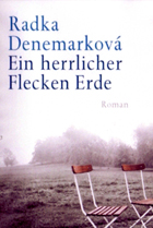 Roman von Radka Denemarkova